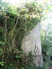 Hohennagold/Turm/Außenmauer (Nagold)