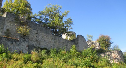 Hohennagold/Turm/Außenmauer (Nagold)