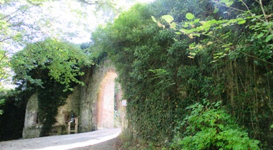 Hohennagold/Eingang/Außenmauer (Nagold)