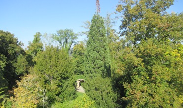 Hohennagold/Innenbereich (Nagold)