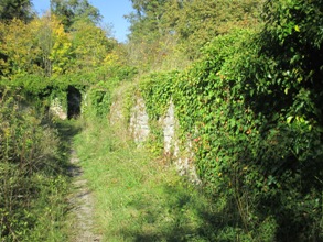 Hohennagold/Innenbereich (Nagold)