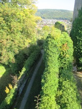 Hohennagold/Innenbereich (Nagold)
