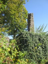 Hohennagold/Innenbereich (Nagold)