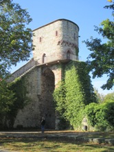 Hohennagold/Flankierungsturm (Nagold)
