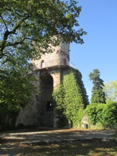 Hohennagold/Flankierungsturm (Nagold)