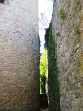 Hohennagold/Bergfried/Schildmauer (Nagold)
