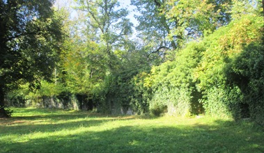 Hohennagold/Innenbereich (Nagold)