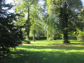 Hohennagold/Innenbereich (Nagold)