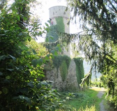 Hohennagold/Flankierungsturm/Schildmauer (Nagold)