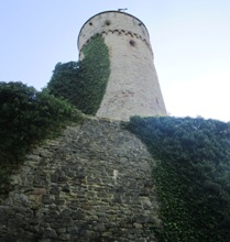 Hohennagold/Flankierungsturm/Schildmauer (Nagold)
