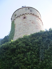 Hohennagold/Flankierungsturm/Schildmauer (Nagold)