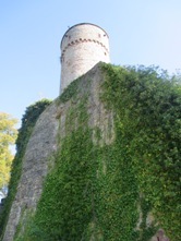 Hohennagold/Flankierungsturm/Schildmauer (Nagold)