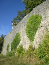 Hohennagold/Schildmauer (Nagold)