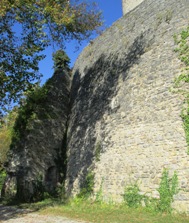 Hohennagold/Schildmauer (Nagold)