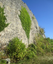 Hohennagold/Schildmauer (Nagold)