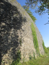 Hohennagold/Schildmauer (Nagold)