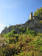 Hohennagold/Außenmauer (Nagold)